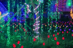 Quang cảnh các mô hình ánh sáng nhiều màu sắc. 