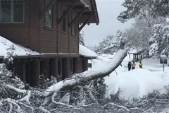 Tuyết phủ trắng xóa tại Công viên quốc gia Grand Canyon, bang Arizona, ngày 29/11/2019. (Ảnh: ABC15/TTXVN)
