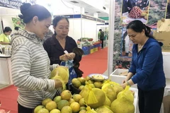 Gian hàng giới thiệu sản phẩm đặc sản tại chuỗi hội chợ. (Ảnh: Mỹ Phương/TTXVN)