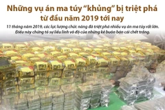 Những vụ án ma túy lớn bị triệt phá từ đầu năm tới nay.