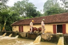 Ảnh minh họa. (Nguồn: TTXVN)