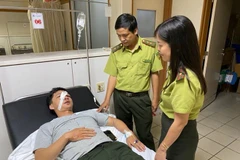Một cán bộ bảo vệ rừng ở Thừa Thiên-Huế bị hành hung tại cơ quan