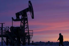 Ảnh minh họa. (Nguồn: The National)