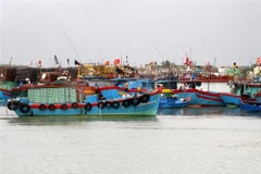 Tàu thuyền neo đậu tại khu tránh trú bão. (Ảnh: Văn Tý/TTXVN)