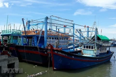 Tàu cá nằm bờ vì thua lỗ. (Nguồn: TTXVN)