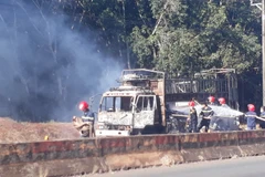 Chiếc xe tải và toàn bộ hàng hóa bị lửa thiêu rụi hoàn toàn. (Ảnh: K GỬIH/TTXVN)