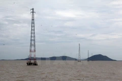 Ảnh minh họa. (Nguồn: TTXVN)