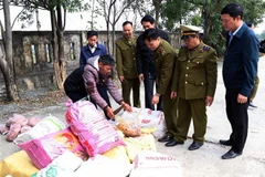 Lực lượng quản lý thị trường kiểm tra số lượng nội tạng bị bắt giữ. (Ảnh: Công Tường/TTXVN)