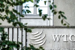 WTO hiện đang phải đối mặt với ba vấn đề căn bản. (Nguồn: AFP)