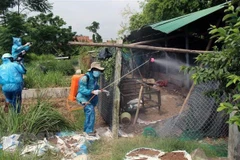 Tiêu độc khử trùng trại gà bị chết do bệnh dịch H5N6. (Ảnh minh họa. Nguồn: TTXVN)