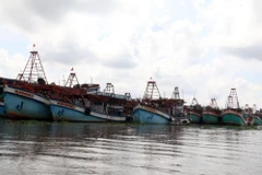 Do thua lỗ, nhiều tàu cá neo bờ dọc sông Cái Bé, đoạn vàm Bà Lịch. (Ảnh: Lê Sen/TTXVN)