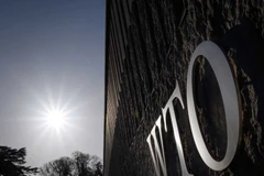 (Nguồn: Getty Images)