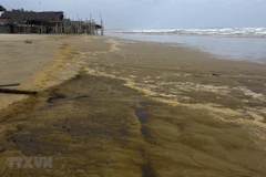 Nước biển có màu xám đen, nổi bọt vàng. (Ảnh: Phước Ngọc/TTXVN)