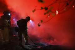 Lính cứu hỏa nỗ lực dập lửa tại một điểm cháy rừng ở Santa Clarita, bang California (Mỹ) ngày 24/10/2019. (Ảnh: THX/TTXVN)