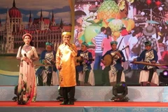 Biểu diễn đờn ca tài tử. (Ảnh minh họa. Nguồn: TTXVN)