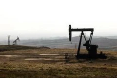 Ảnh minh họa. (Nguồn: AFP)