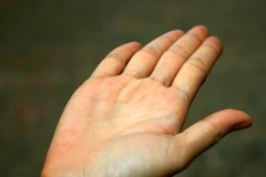 Kỹ thuật nhận dạng cử động bàn tay người theo thời gian