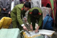 (Ảnh minh họa: Công Trường-Phan Quân/TTXVN)