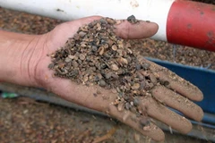 Kho càphê 3.360 tấn cầm cố 7 ngân hàng chỉ có gần 700 tấn