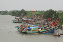 Bình Định: Còn ba tàu cá đang di chuyển tránh bão