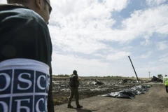 OSCE có kế hoạch sử dụng UAV giám sát biên giới Nga - Ukraine
