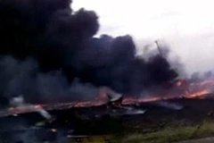 Video nghiệp dư ghi lại cảnh sau khi MH17 đâm xuống đất
