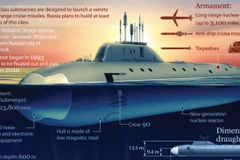 (Nguồn: RIA Novosti)