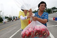 Hàn Quốc dùng bóng bay gửi bánh ChocoPie vào Triều Tiên