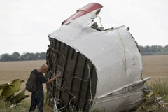 Máy bay MH17 đã bị xuyên thủng bởi "vật thể có tốc độ cao"