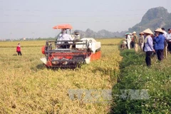 Hải Phòng: Lại xảy ra sai phạm tại huyện Tiên Lãng 