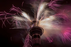 Thế giới đã bắt đầu bắn pháo hoa chào đón năm mới 2015