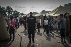 Người Việt nhập cưu bất hợp pháp bị đưa tới một khu trại ở Đông Moskva tháng 9/2013 (Nguồn: AFP)