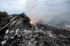 Mỹ: Máy bay Malaysia có thể bị tên lửa của phe ly khai Ukraine bắn hạ