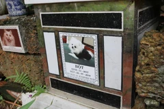 Nghĩa trang cho thú cưng, một hiện tượng mới lạ ở Việt Nam