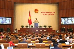 Quốc hội họp phiên toàn thể tại hội trường để biểu quyết thông qua Bộ luật Lao động (sửa đổi). (Ảnh: TTXVN)