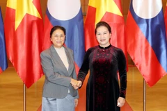 Chủ tịch Quốc hội Nguyễn Thị Kim Ngân tiếp Chủ tịch Quốc hội Lào Pany Yathotou. (Ảnh: Trọng Đức/TTXVN)