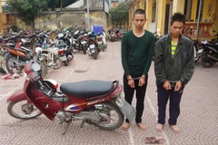 Hai đối tượng Nguyễn Văn Thương và Nguyễn Xuân Thức. (Ảnh: TTXVN phát)