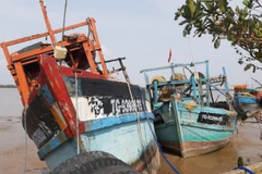 Hiện trường vụ việc. (Ảnh: TTXVN/phát)