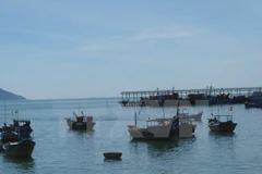 (Ảnh: Nguyên Lý/TTXVN)