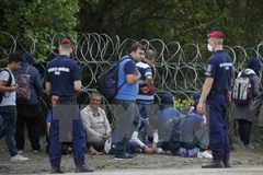 Người di cư bị bắt giữ tại khu vực biên giới Hungary-Serbia ngày 15/9. (Nguồn: Reuters/TTXVN)