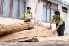 (Ảnh minh họa: Quang Quyết/TTXVN)