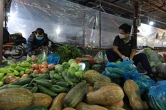 Theo khảo sát của phóng viên TTXVN sáng 26/10 gái một số loại rau xanh có giá từ 10.000đ đến 15.000đ/mớ (tương đương từ 20.000đ đến 40.000đ/kg). (Ảnh: Vũ Sinh/TTXVN)