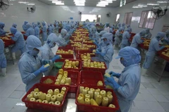 Chế biến sản phẩm dứa đóng hộp xuất khẩu tại nhà máy của Công ty CP Xuất nhập khẩu Nông sản thực phẩm An Giang (tỉnh An Giang). (Ảnh: Vũ Sinh/TTXVN)