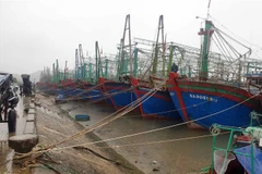 Tàu thuyền về neo đậu tránh trú bão tại khu cảng cá Lạch Quèn, huyện Quỳnh Lưu (Nghệ An). (Ảnh: Tá Chuyên/TTXVN)