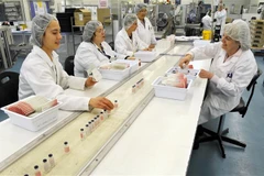 Công nhân làm việc trong dây chuyền sản xuất vaccine tại cơ sở của Tập đoàn y tế Australia CSL ở Melbourne. (Ảnh: AFP/TTXVN)