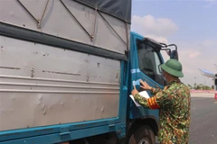 (Ảnh minh họa: Thanh Vân/TTXVN)