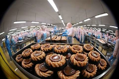 Dây chuyền chế biến tôm đông lạnh xuất khẩu của Công ty Cổ phần Thủy sản Minh Phú Hậu Giang ở Khu công nghiệp Sông Hậu (xã Đông Phú, huyện Châu Thành, tỉnh Hậu Giang). (Ảnh: Vũ Sinh/TTXVN)