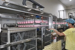 Doanh nghiệp Bến Tre sản xuất "3 tại chỗ" dễ phục hồi hoạt động trở lại sau tình hình dịch bệnh diễn ra căng thẳng. (Ảnh: Huỳnh Phúc Hậu/TTXVN)