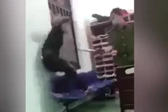 Hình ảnh cắt từ clip.