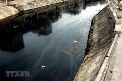 [Podcast] Thủy nông Bắc Hưng Hải - dòng sông 'chết' bao giờ hồi sinh?